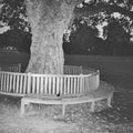 A New Place 2 Drown