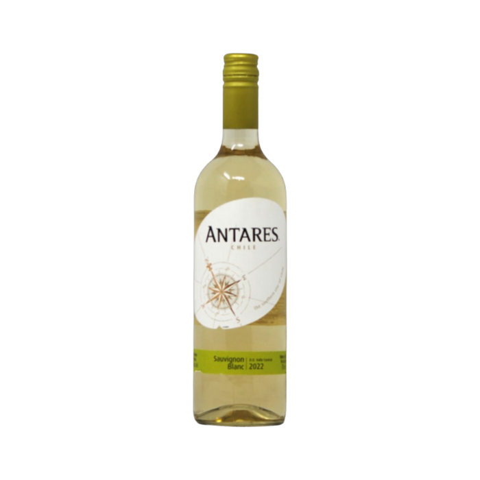 Sauvignon Blanc Antares — White Wine