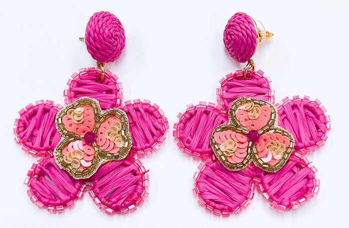 Aster Pink