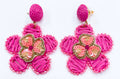 Aster Pink