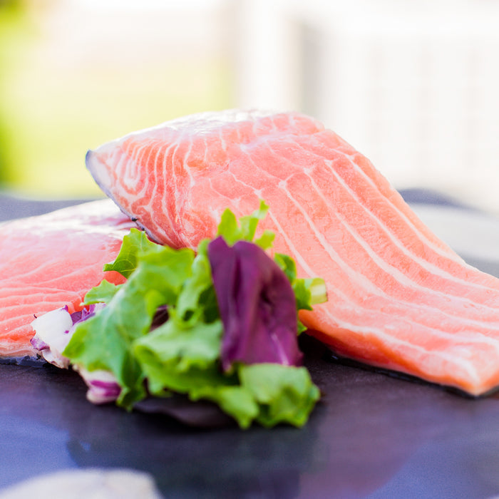 Faroe Island Atlantic Salmon