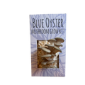 Blue Oyster Mushroom Kit