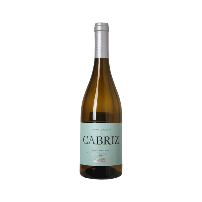 Dao Sauvignon Blanc Cabriz — White Wine