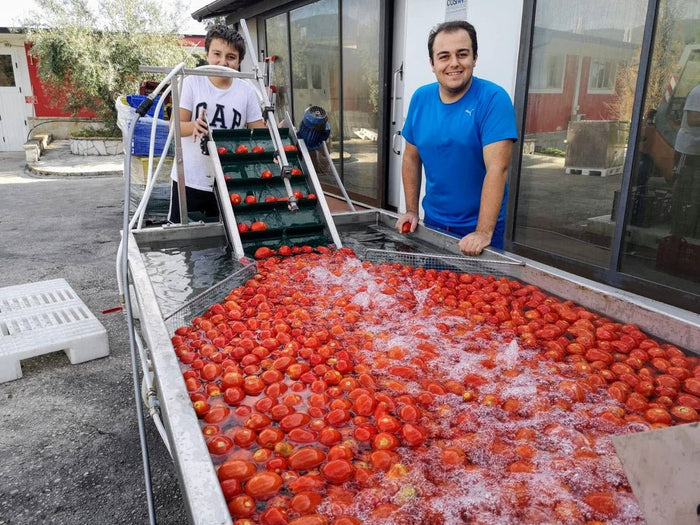 Casina Rossa Sugo al Vino Rosso - Olive Ovation