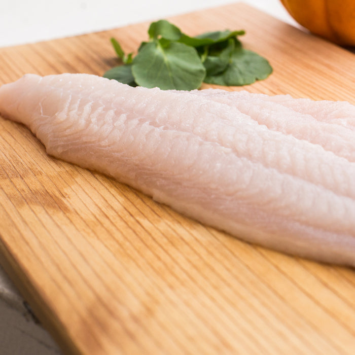 Fresh Catfish Fillet