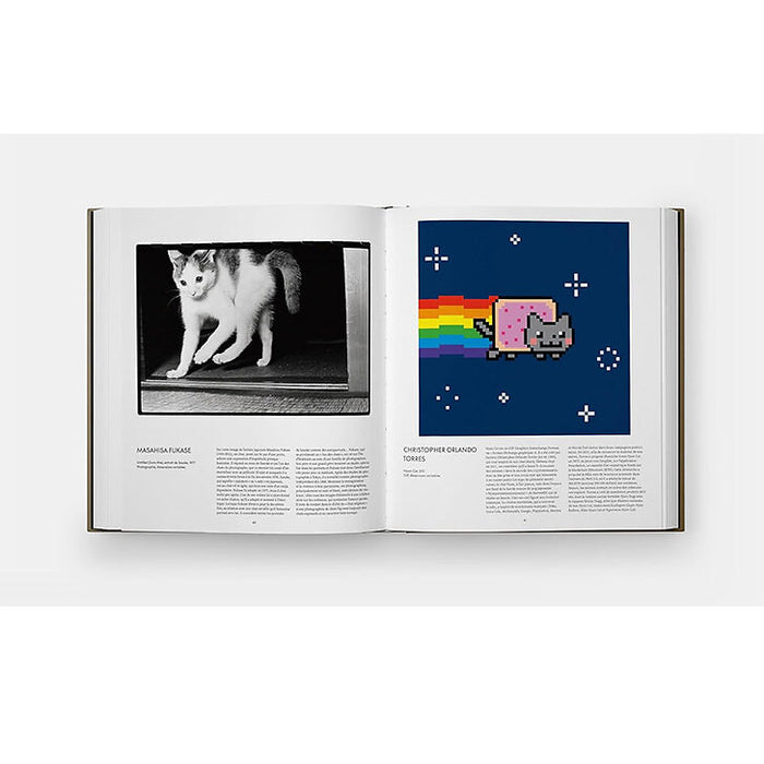 CHAT — by Hannah Shaw and Leïla Jarbouai