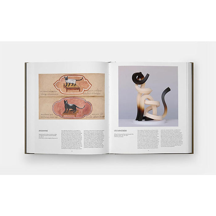 CHAT — by Hannah Shaw and Leïla Jarbouai