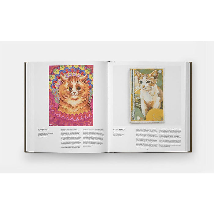 CHAT — by Hannah Shaw and Leïla Jarbouai