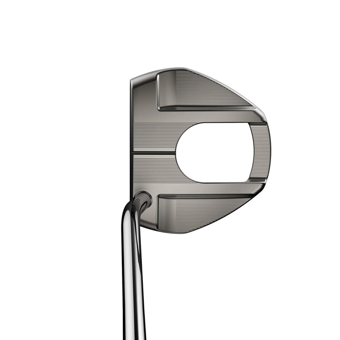 Cobra 2026 MIM Camino Putter