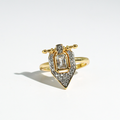 Elliot Ring