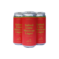 Field House Salted Lime Mexican Lager — Craft Beer