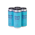 Field House Brewing Dark Sour — Craft Beer