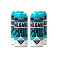 Fuggles And Warlock Pixel Pilsner — Craft Beer