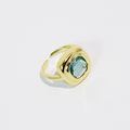 Garden Ring Mint Cushion