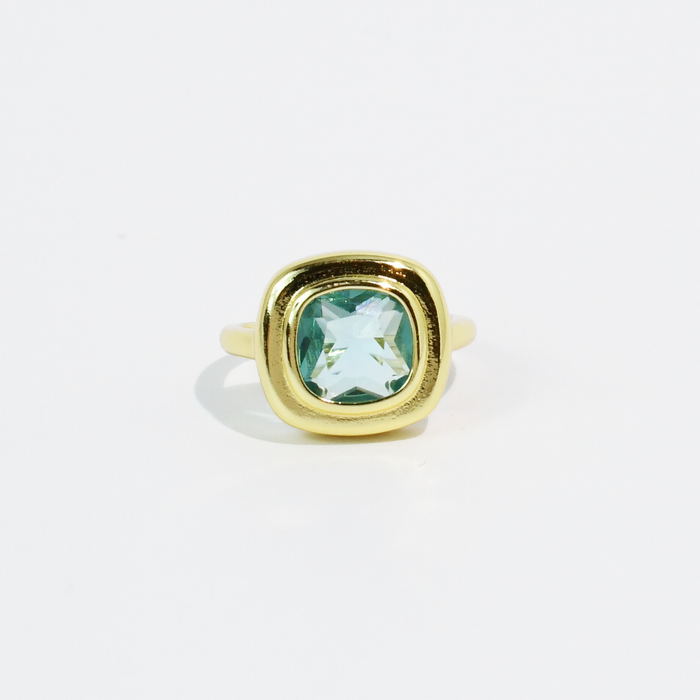 Garden Ring Mint Cushion