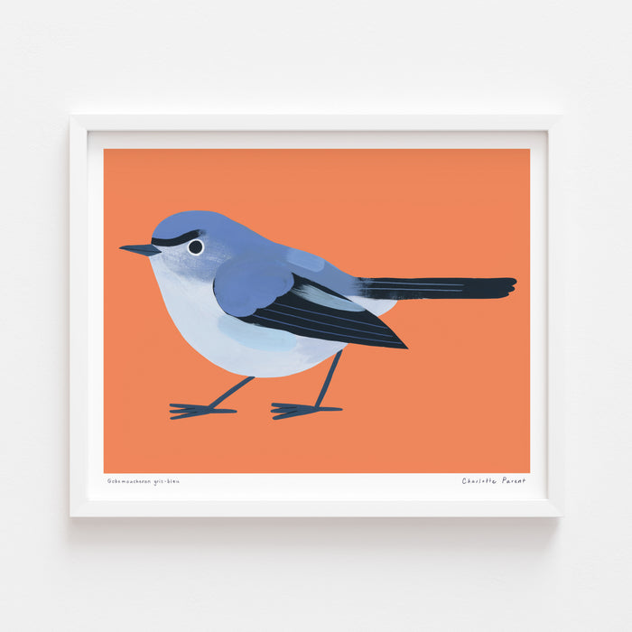 GOBEMOUCHERON GRIS-BLEU, 10" x 8" — by Charlotte Parent
