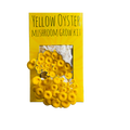 Golden Oyster Mushroom Kit