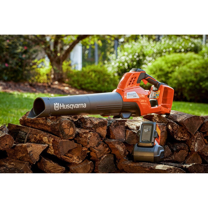 Husqvarna230ib on firewood with a garden background