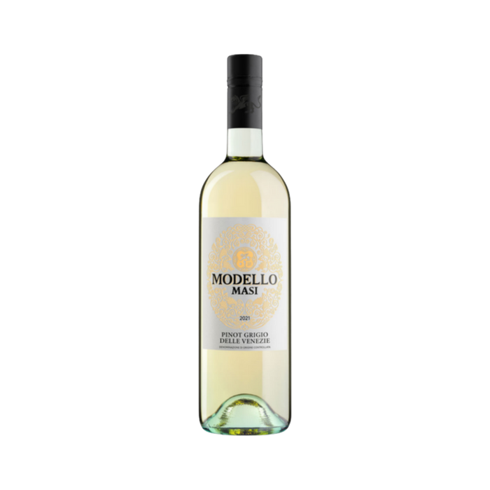 Pinot Grigio Masi Modello — White Wine