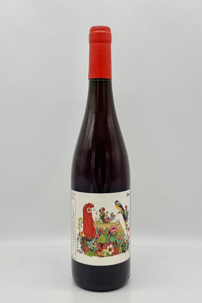 Nana Vins et Cie, Konjo Fouzitou, Languedoc, France, Cinsault/Carignan/Clairette/Terret/Grenache Blanc, 2024