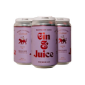Nicelife Gin & Juice Raspberry 4pk — Cooler