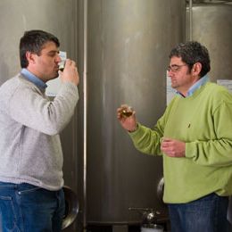 Olive Ovation Spezia EVOO - Olive Ovation