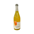 Please Cocktail Mango 750ml — Cooler
