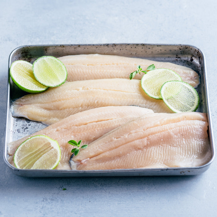 Rainbow Trout Fillets