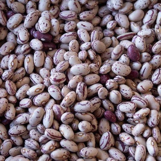 Rancho Gordo Cranberry Bean - Olive Ovation
