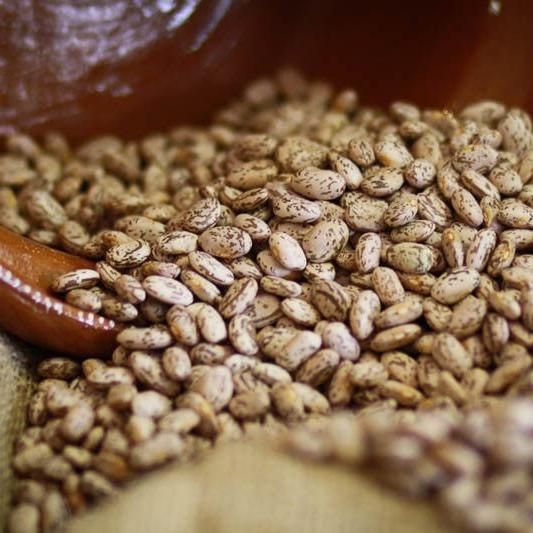 Rancho Gordo Pinto Bean - Olive Ovation