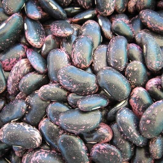 Rancho Gordo Scarlet Runner Bean - Olive Ovation
