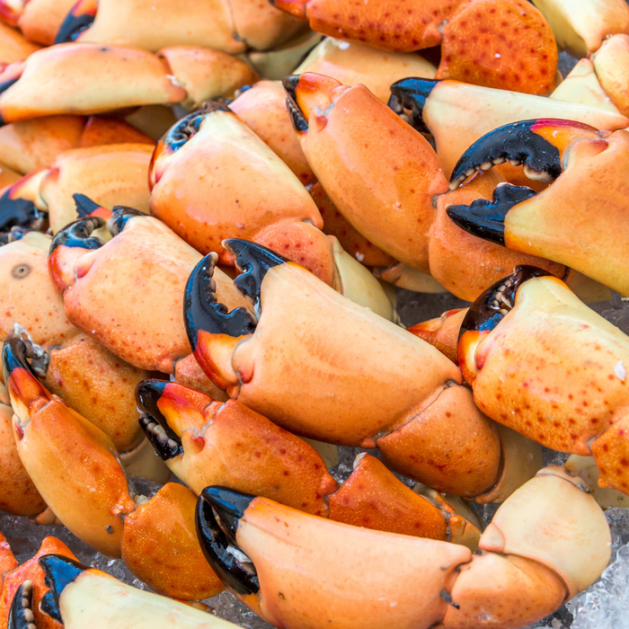 Stone Crab Claws on ice