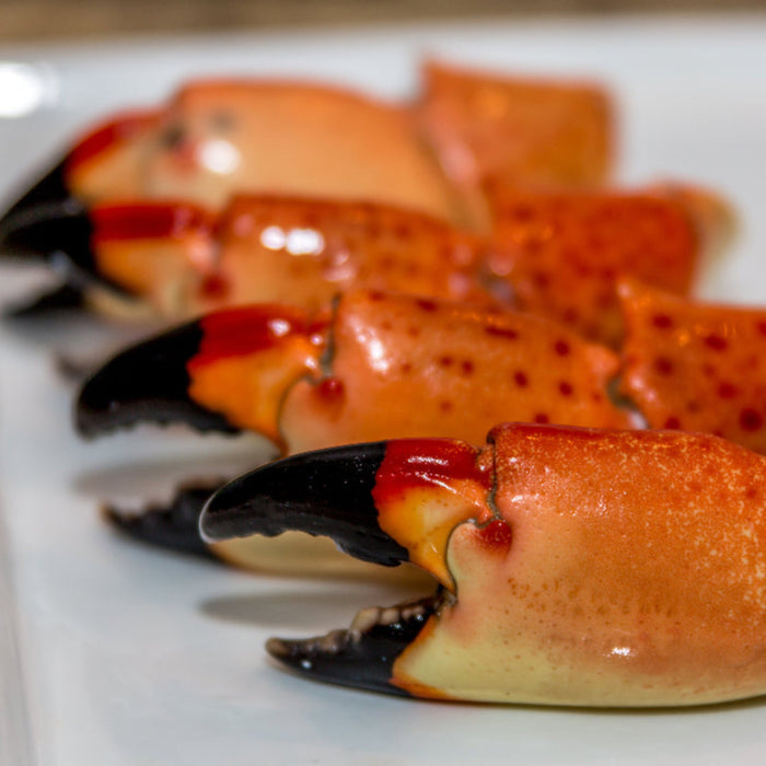 Stone Crab Claws on white table