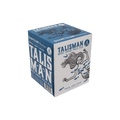 Strange Fellows Talisman Pale Ale 4pk — Craft Beer