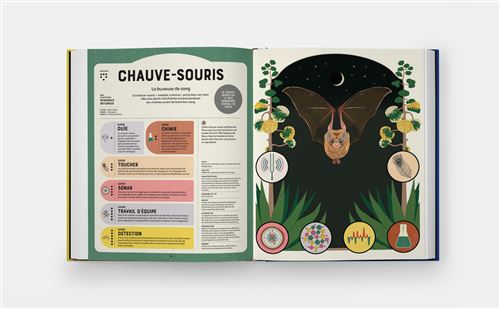 SUPER ANIMAUX, SUPERPOUVOIRS — by Soledad Romero Mariño