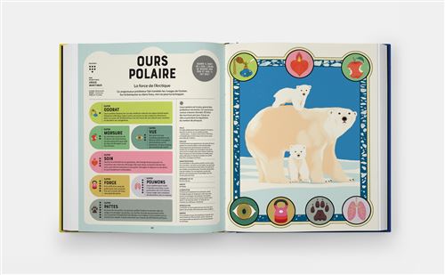 SUPER ANIMAUX, SUPERPOUVOIRS — by Soledad Romero Mariño