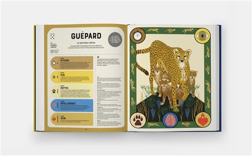 SUPER ANIMAUX, SUPERPOUVOIRS — by Soledad Romero Mariño