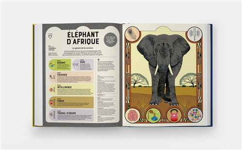 SUPER ANIMAUX, SUPERPOUVOIRS — by Soledad Romero Mariño