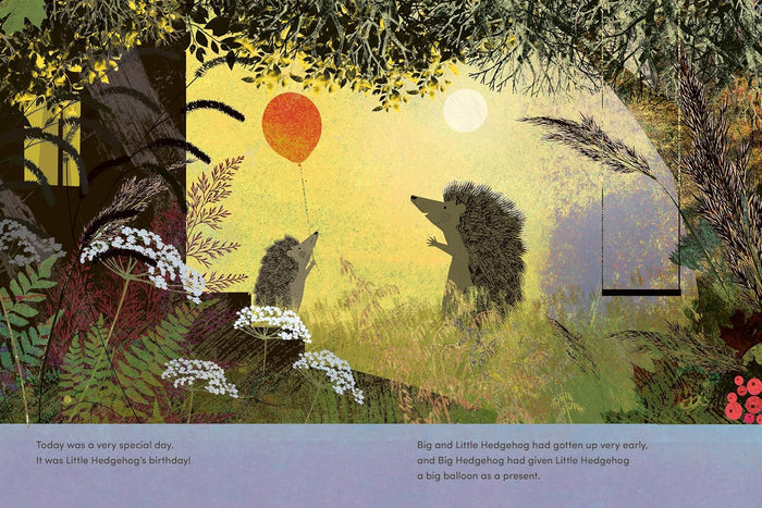 THE BIRTHDAY: A Big Hedgehog and Little Hedgehog Adventure — by Britta Teckentrup