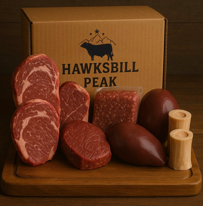 The Carnivore Box