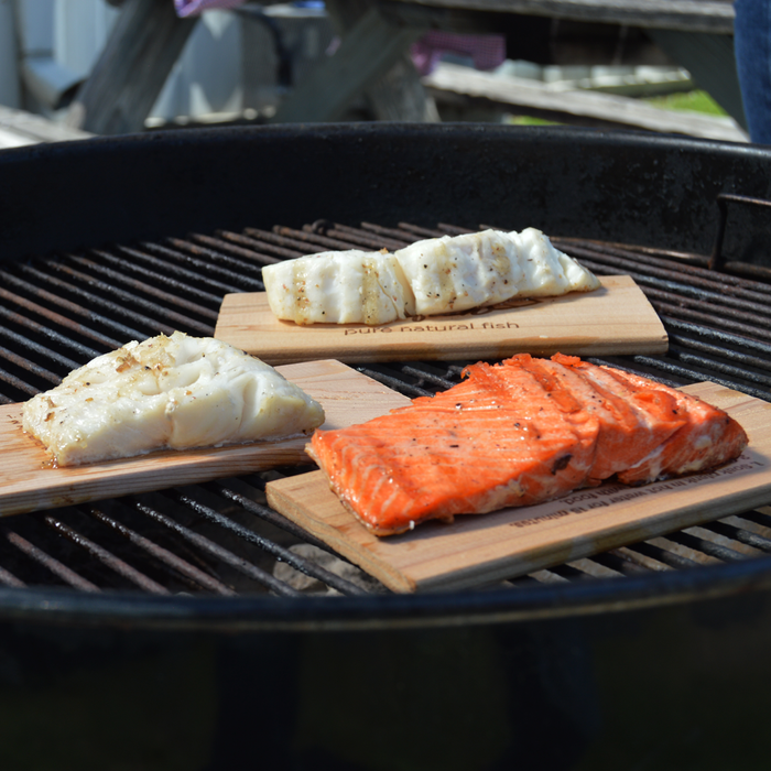 Wild Alaska Favorites BBQ Box