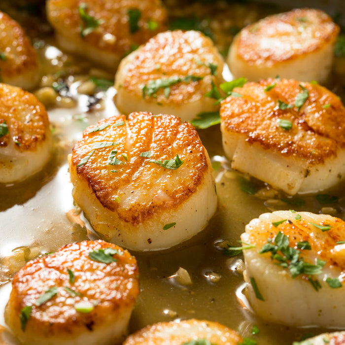 Large Sea Scallops